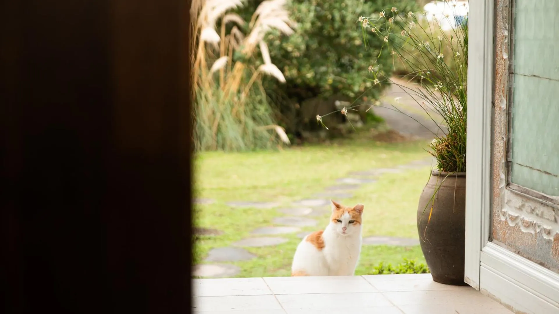 Alojamento de Acomodação e Pequeno-almoço House Aum Acomodação com café da manhã Jeju